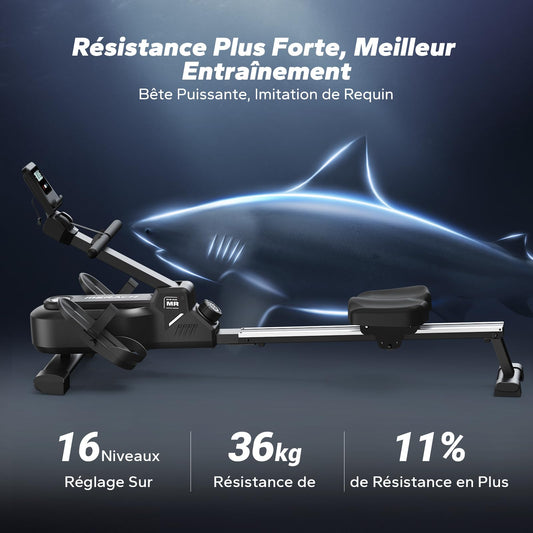 Rameur D'appartement avec Carte Interactive Exclusive de l' APP et Jeux, Apparence Semblable à Un Requin, Expérience de Rame Intense, Gain de Place, Adapté à L'entraînement du Corps Entier